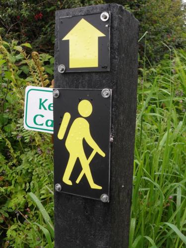 Dingle Way  (31)