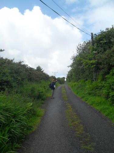 Dingle Way  (33)
