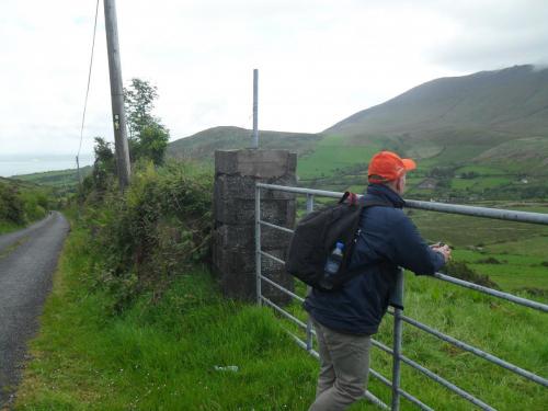 Dingle Way  (35)
