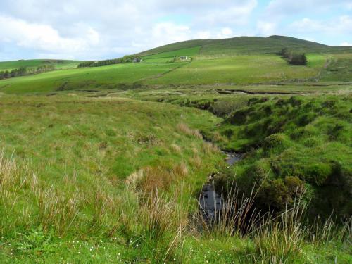 Dingle Way  (36)