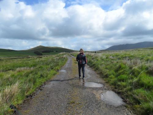 Dingle Way  (37)