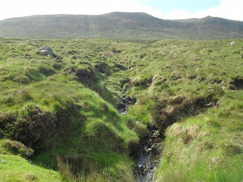Dingle Way  (38)