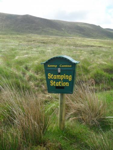 Dingle Way  (41)