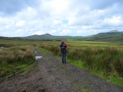 Dingle Way  (43)
