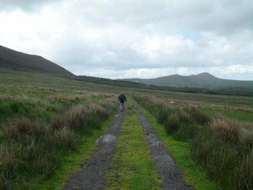 Dingle Way  (44)