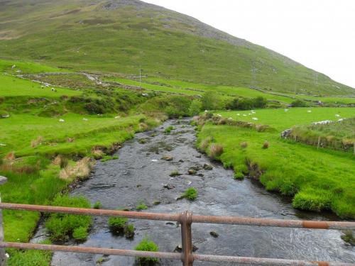 Dingle Way  (50)