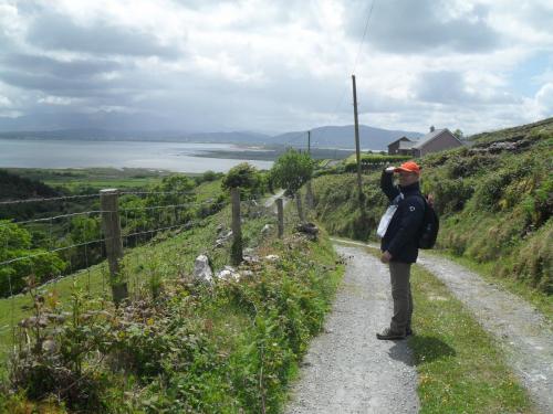 Dingle Way  (51)