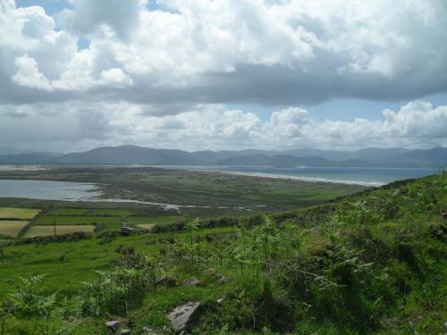 Dingle Way  (53)