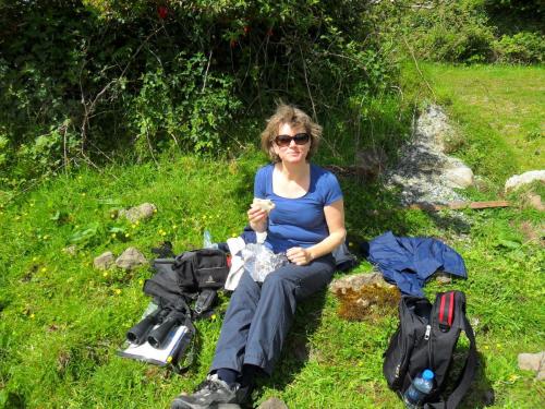 Dingle Way  (54)