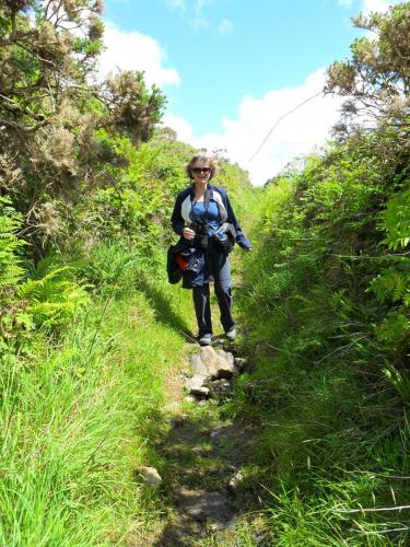 Dingle Way  (57)
