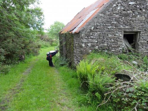 Dingle Way  (65)
