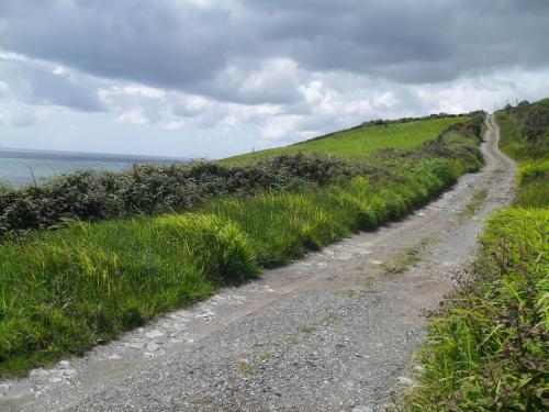 Dingle Way  (66)