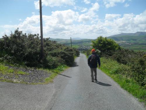 Dingle Way  (67)