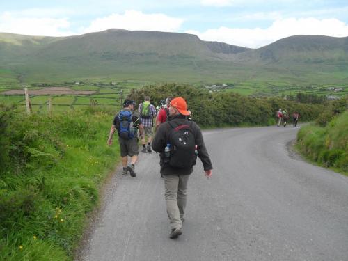 Dingle Way  (85)