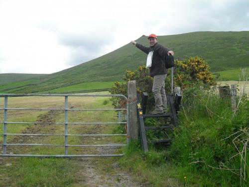 Dingle Way  (88)