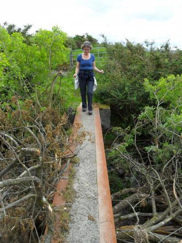 Dingle Way  (90)