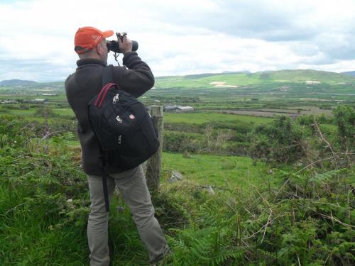 Dingle Way  (91)