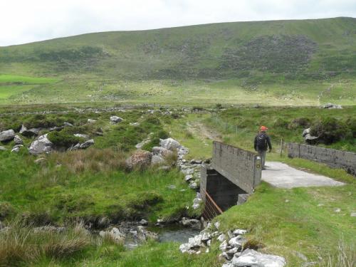 Dingle Way  (93)