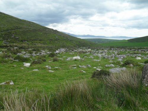 Dingle Way  (94)