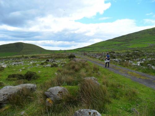Dingle Way  (96)