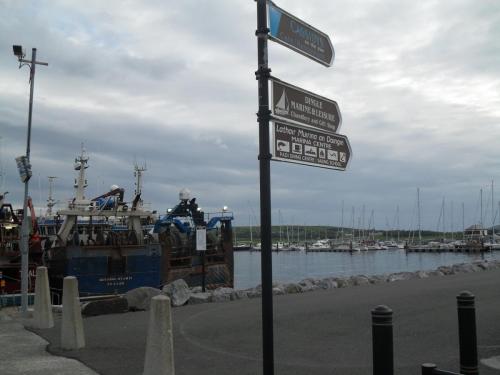 Dingle Way  (99)