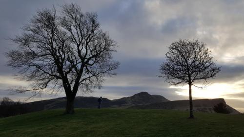 England-Scotland 2020 (141)