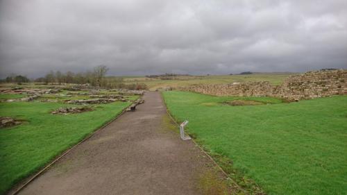 England-Scotland 2020 (43)
