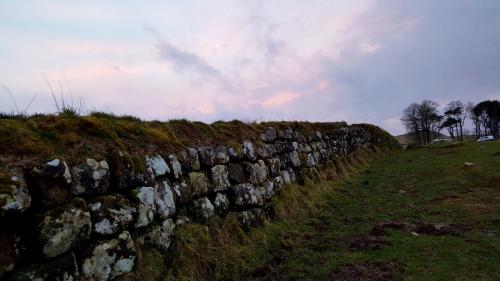 England-Scotland 2020 (52)