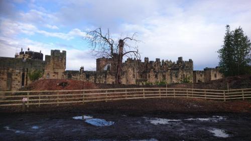 England-Scotland 2020 (58)