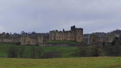 England-Scotland 2020 (64)