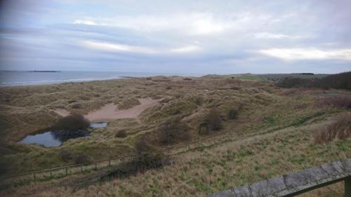England-Scotland 2020 (65)