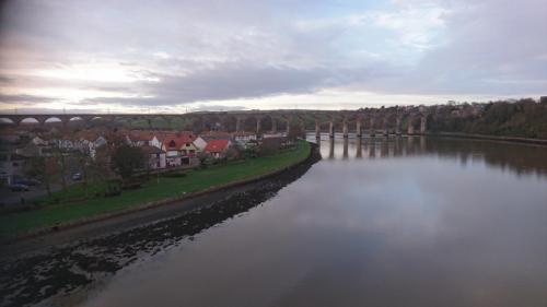 England-Scotland 2020 (72)