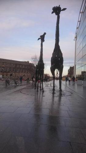 England-Scotland 2020 (86)