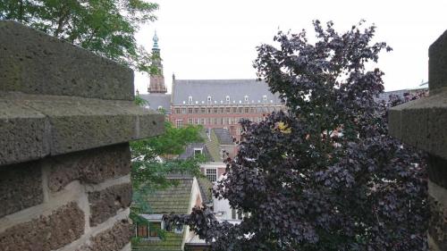 Highlights of Holland september 2017