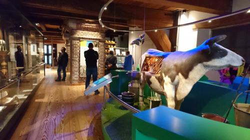 Highlights of Holland september 2017