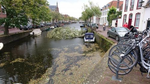 Highlights of Holland september 2017