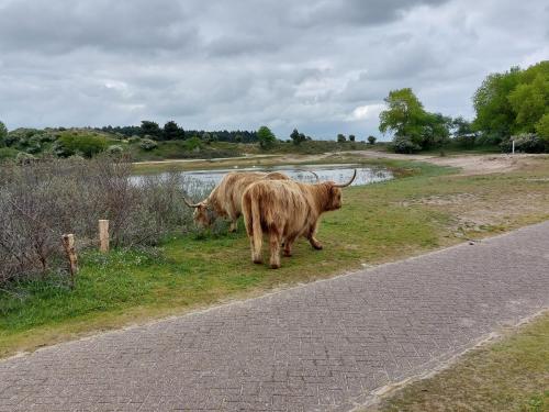 Holland Southern Tour May 2023