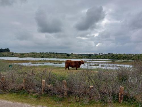 Holland Southern Tour May 2023