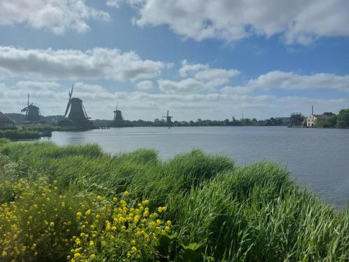Holland Southern Tour May 2023
