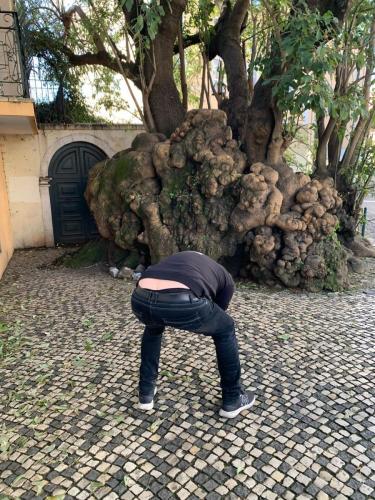 Lisboa march 2024