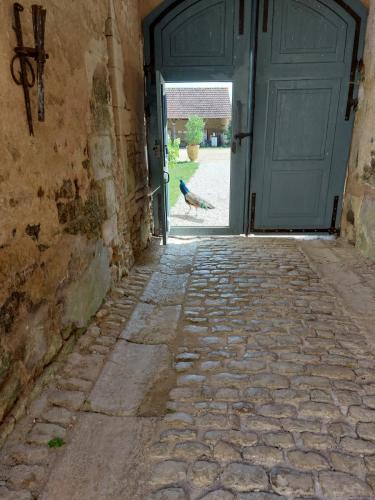 Loire 1-8 juli 2023