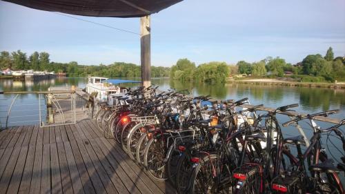 Loire 10-17 aug 2019 (45)
