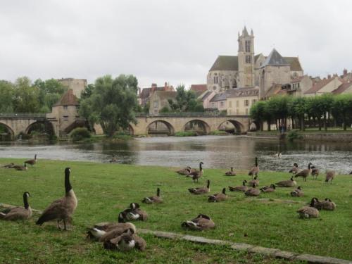 Loire 17-24 aug 2019 (177)