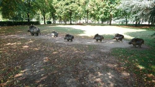 Loire 19-26 august 2017 (36)