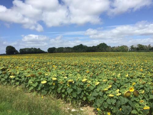 Loire 29 aug-5 sept 2017 (124)