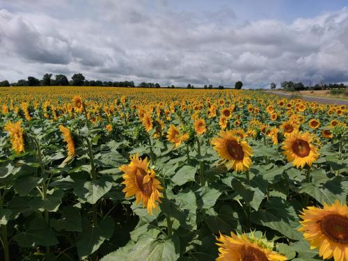 Loire 8-15 juli 2023