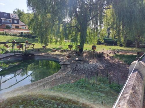 Loire 8-15 juli 2023