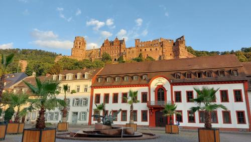 Main-Rhein-Neckar-20-tm-27-8-2022-71
