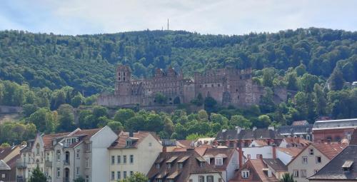 Main-Rhein-Neckar-20-tm-27-8-2022-72