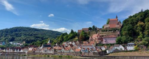 Main-Rhein-Neckar-20-tm-27-8-2022-75
